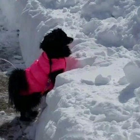 Meet your Posher, Patti - Picture 7 of 10